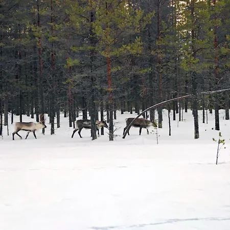 Borealis Village 7 With A Nature View, Fireplace, Sauna, Kitchen Loma-asunnot