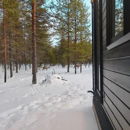 Borealis Village 7 With A Nature View, Fireplace, Sauna, Kitchen Loma-asunnot Muonio